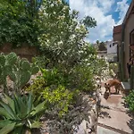 Departamento Colibri