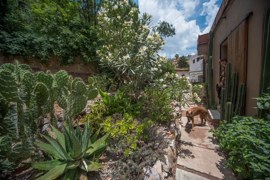 Departamento Colibri Guanajuato
